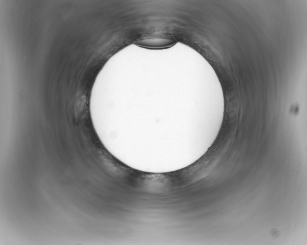 X0000093620087200711121246