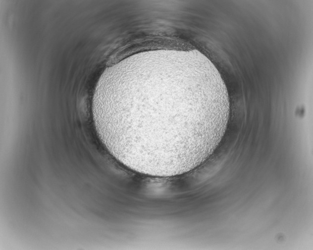 X0000093620088200711121246