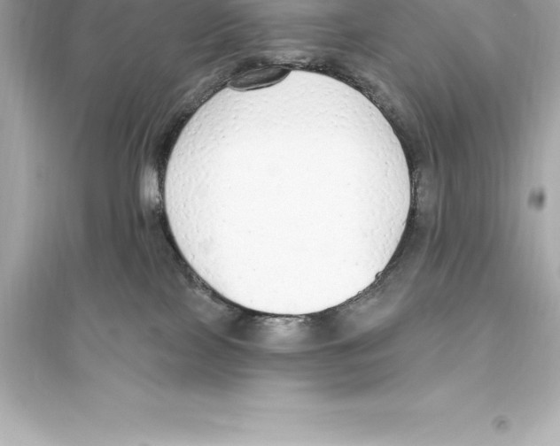 X0000093620089200711121246