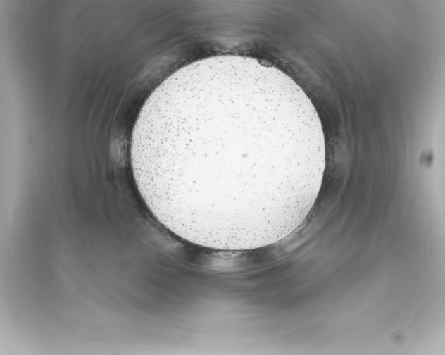 X0000093620090200711121246