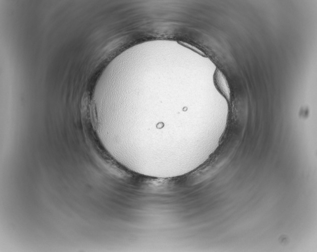 X0000093620092200711121246