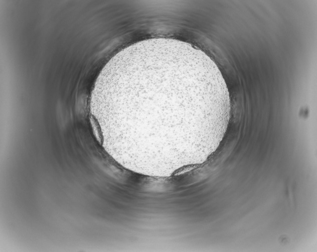 X0000093620093200711121246