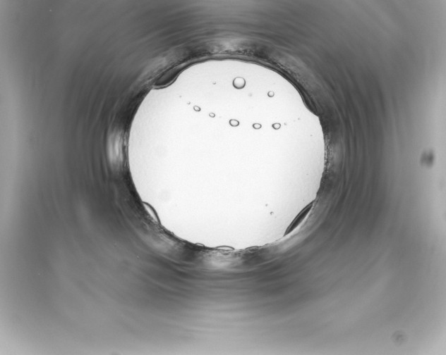 X0000093620094200711121246