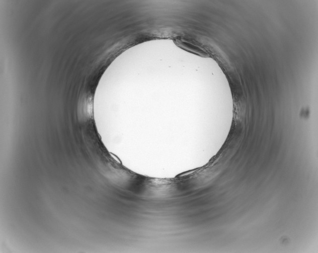 X0000093620095200711121246