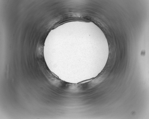 X0000093620096200711121246