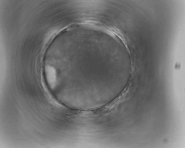 X0000093620097200711121245