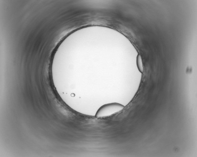 X0000093620098200711121245