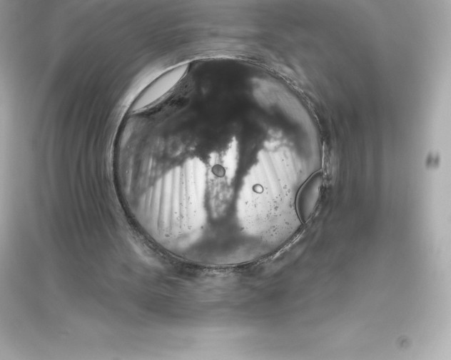 X0000093620099200711121245