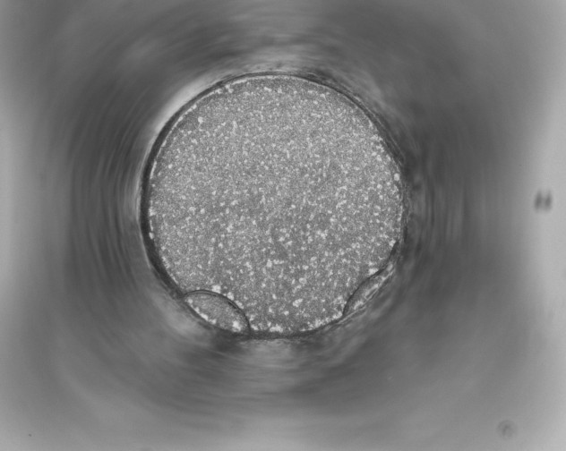 X0000093620100200711121245