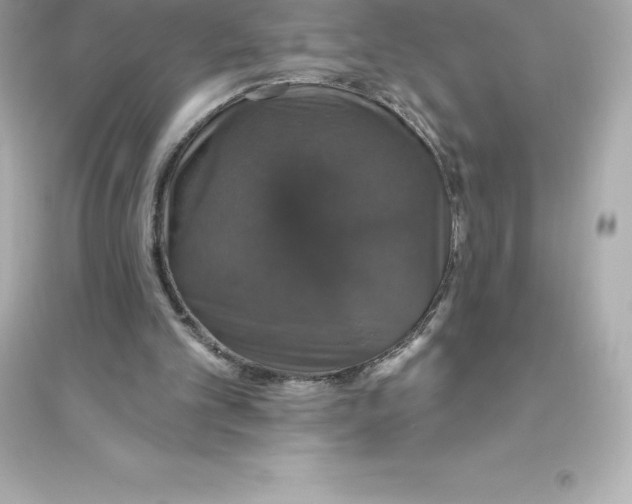 X0000093620101200711121245