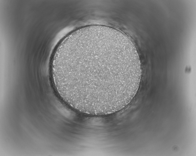 X0000093620104200711121245