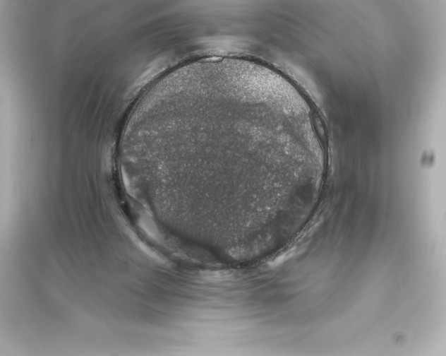 X0000093620105200711121245