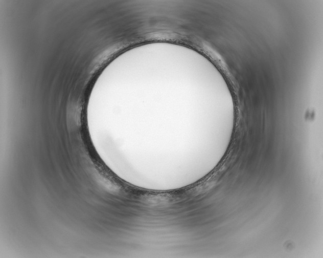 X0000093620106200711121245