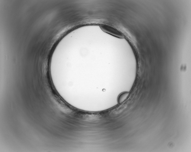 X0000093620107200711121245