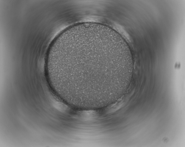 X0000093620108200711121245