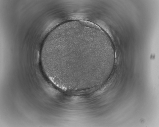 X0000093620109200711121245