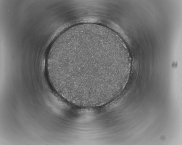 X0000093620110200711121245