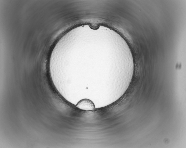 X0000093620111200711121245