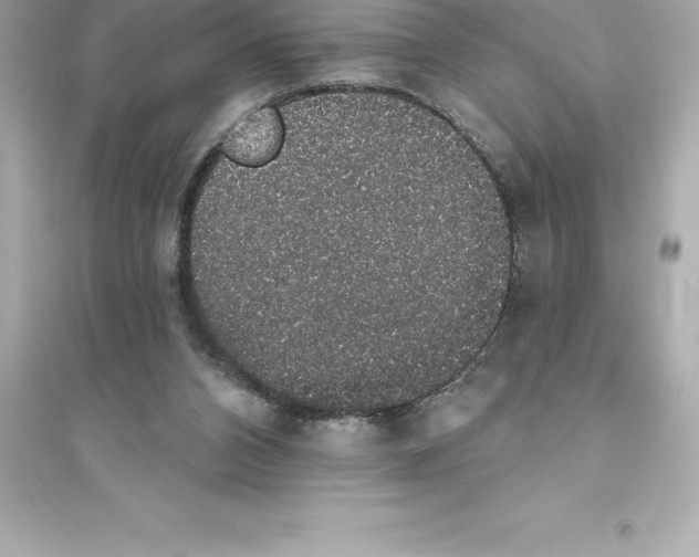 X0000093620112200711121245