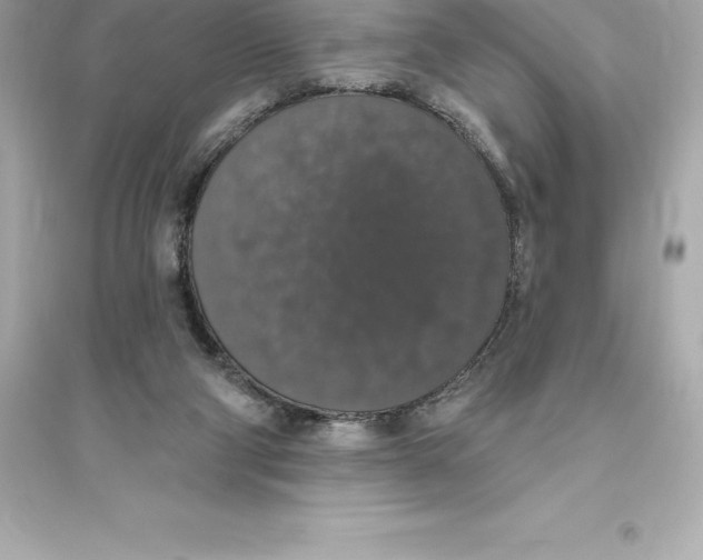 X0000093620114200711121245