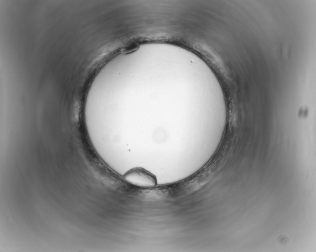 X0000093620115200711121245