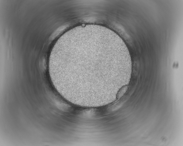 X0000093620116200711121245