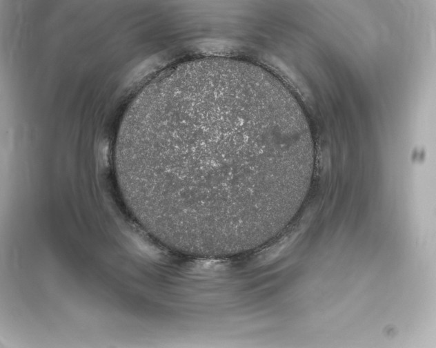 X0000093620117200711121245