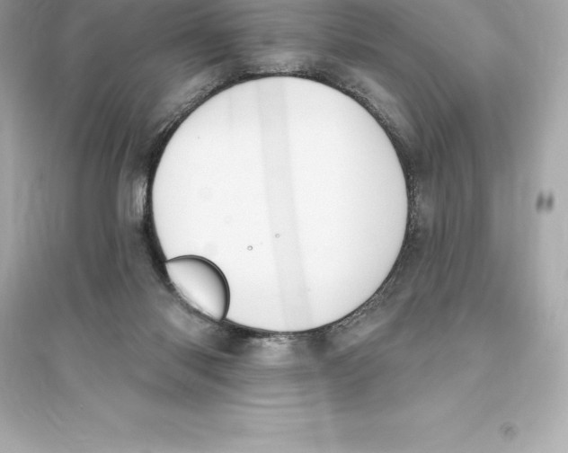 X0000093620118200711121245