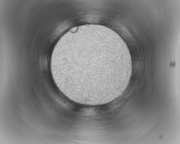 X0000093620120200711121245