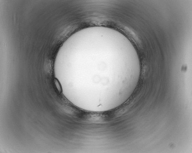 X0000093620121200711121245