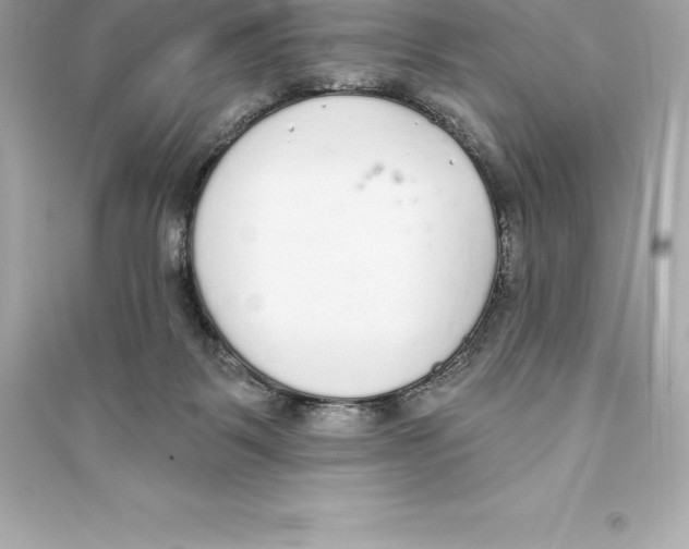 X0000093620123200711121245