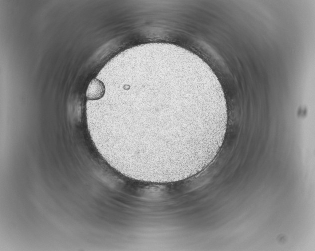 X0000093620124200711121245