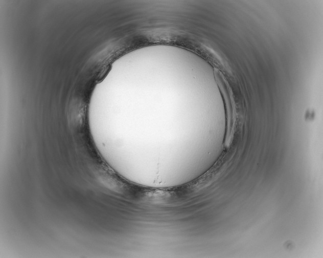 X0000093620125200711121245