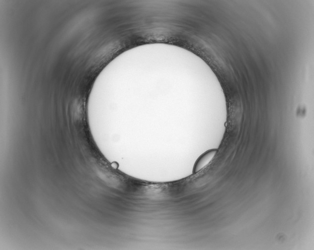 X0000093620126200711121245