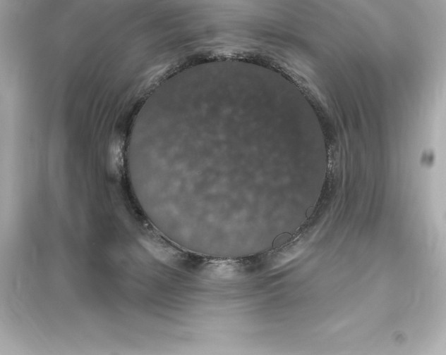 X0000093620127200711121245