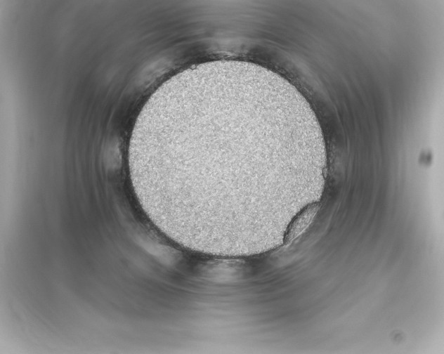 X0000093620128200711121245