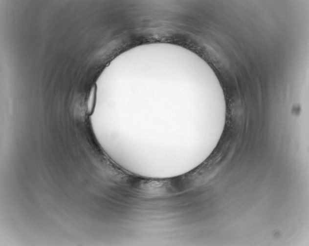 X0000093620129200711121245