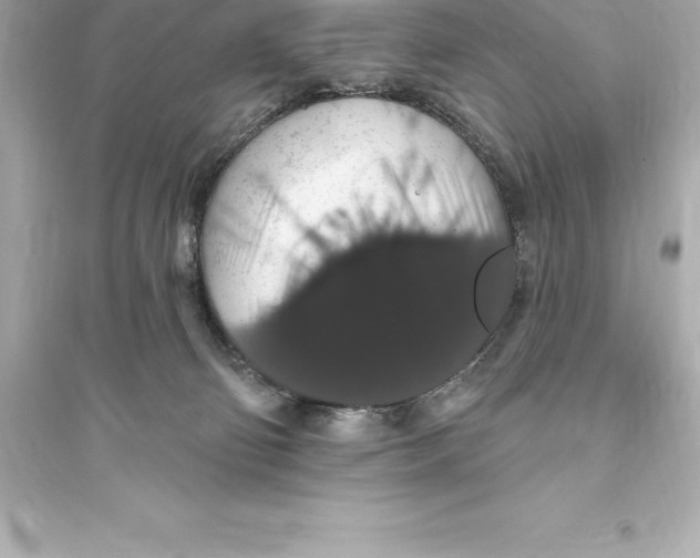 X0000093620130200711121245