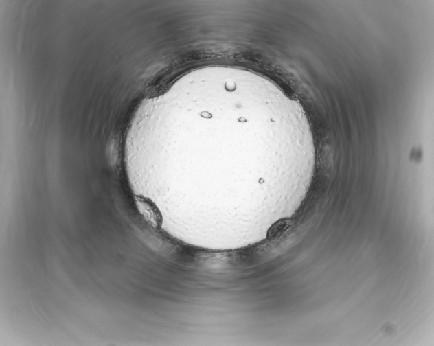 X0000093620131200711121245