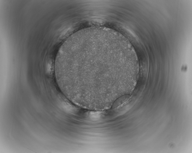 X0000093620134200711121245