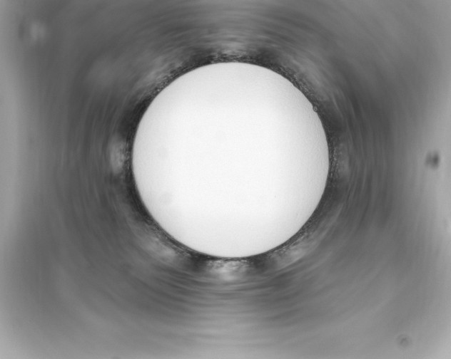 X0000093620135200711121245