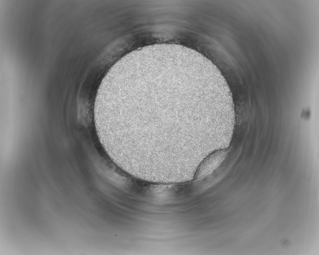 X0000093620136200711121245