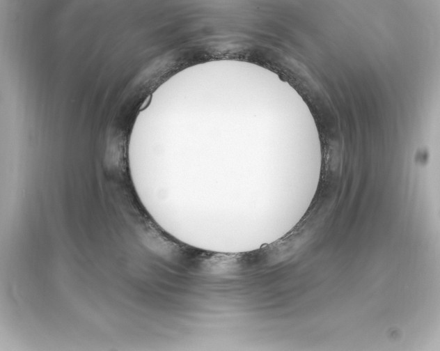 X0000093620138200711121245