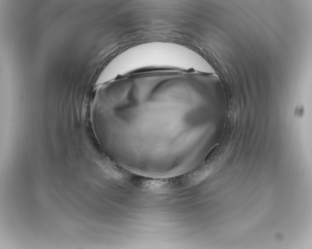 X0000093620139200711121245