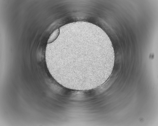 X0000093620140200711121245