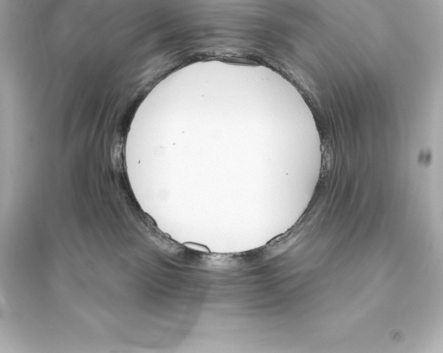 X0000093620141200711121245