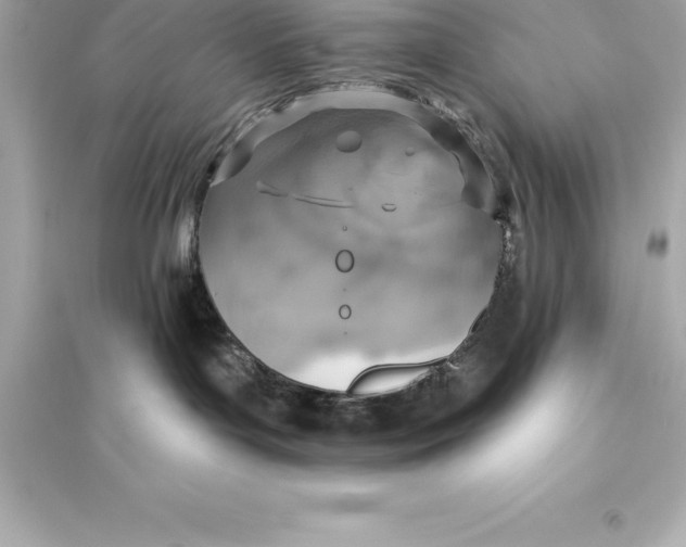 X0000093620143200711121244