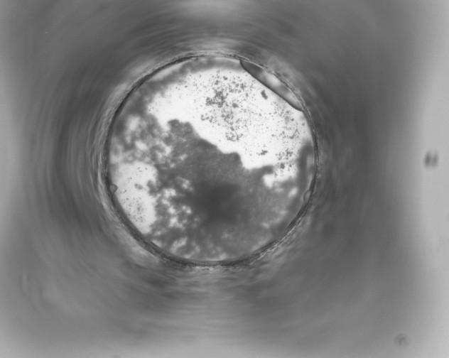 X0000093620145200711121244