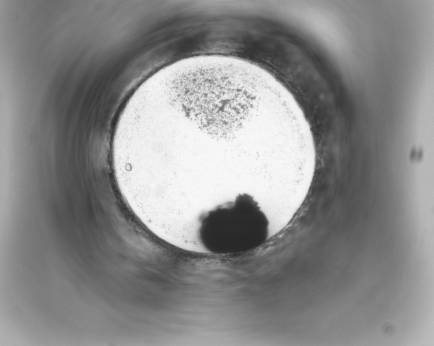 X0000093620146200711121244