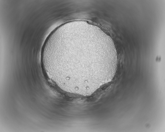 X0000093620148200711121244